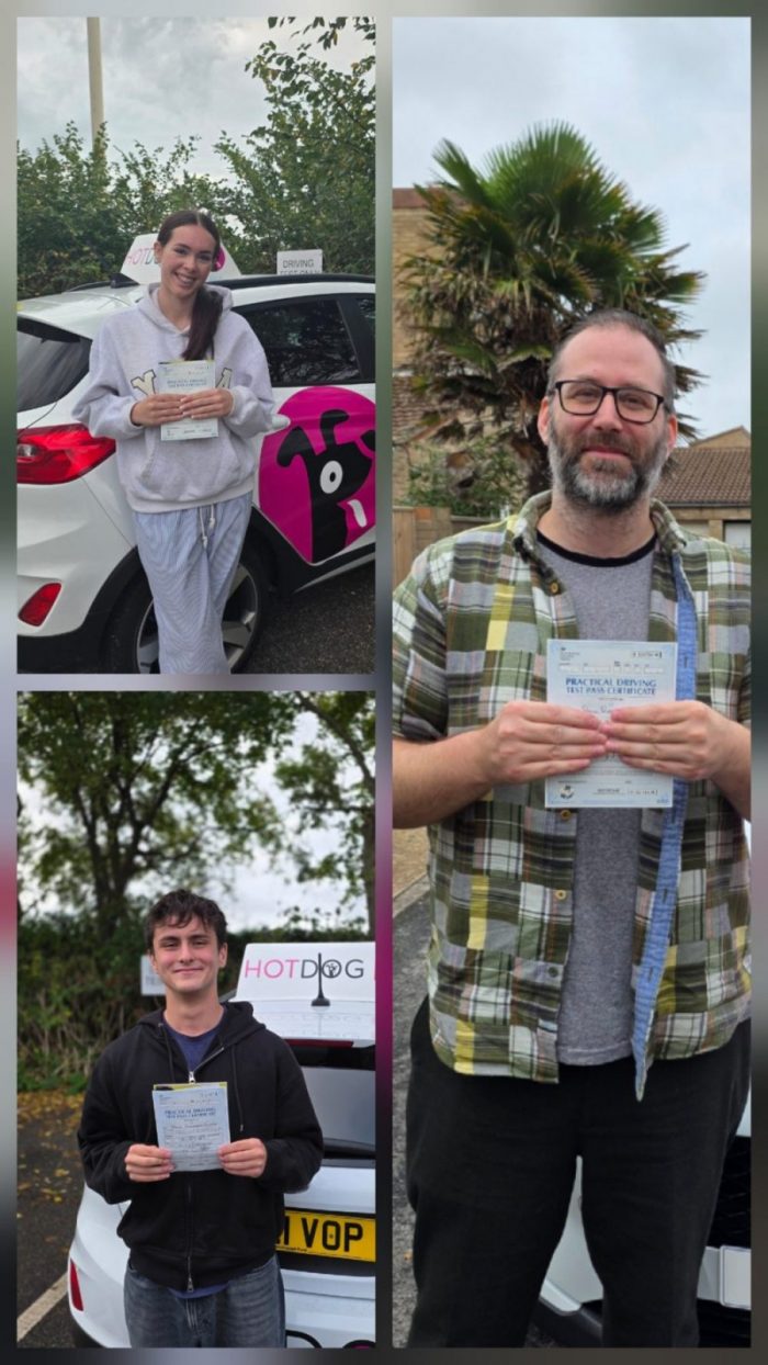 Hotdog Driving School Student